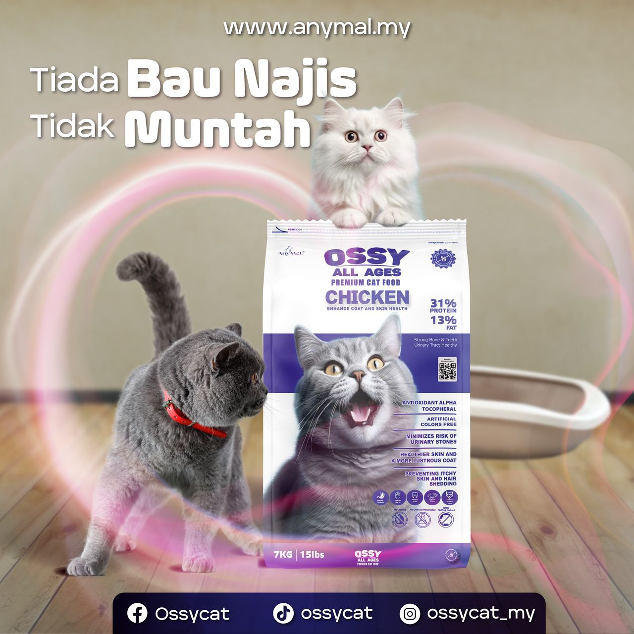 poster ossy (1)