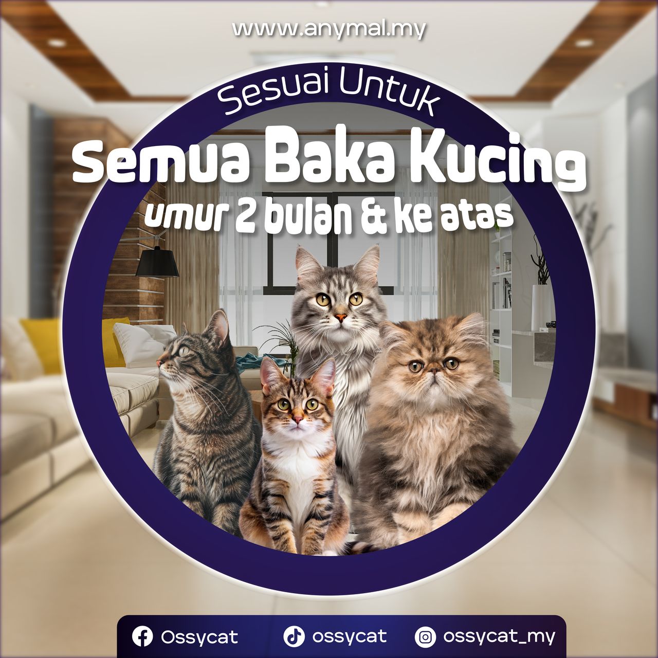 poster ossy (2)