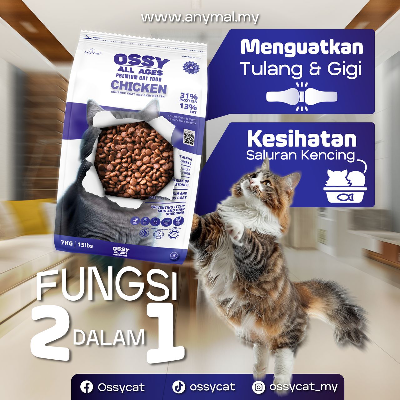 poster ossy (3)