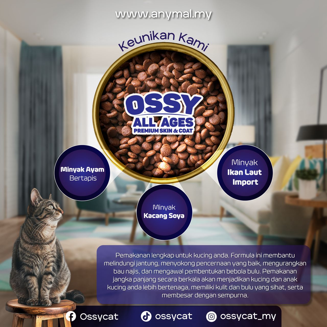 poster ossy (4)