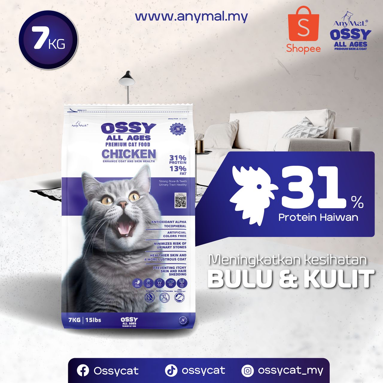 produk ossy (2)