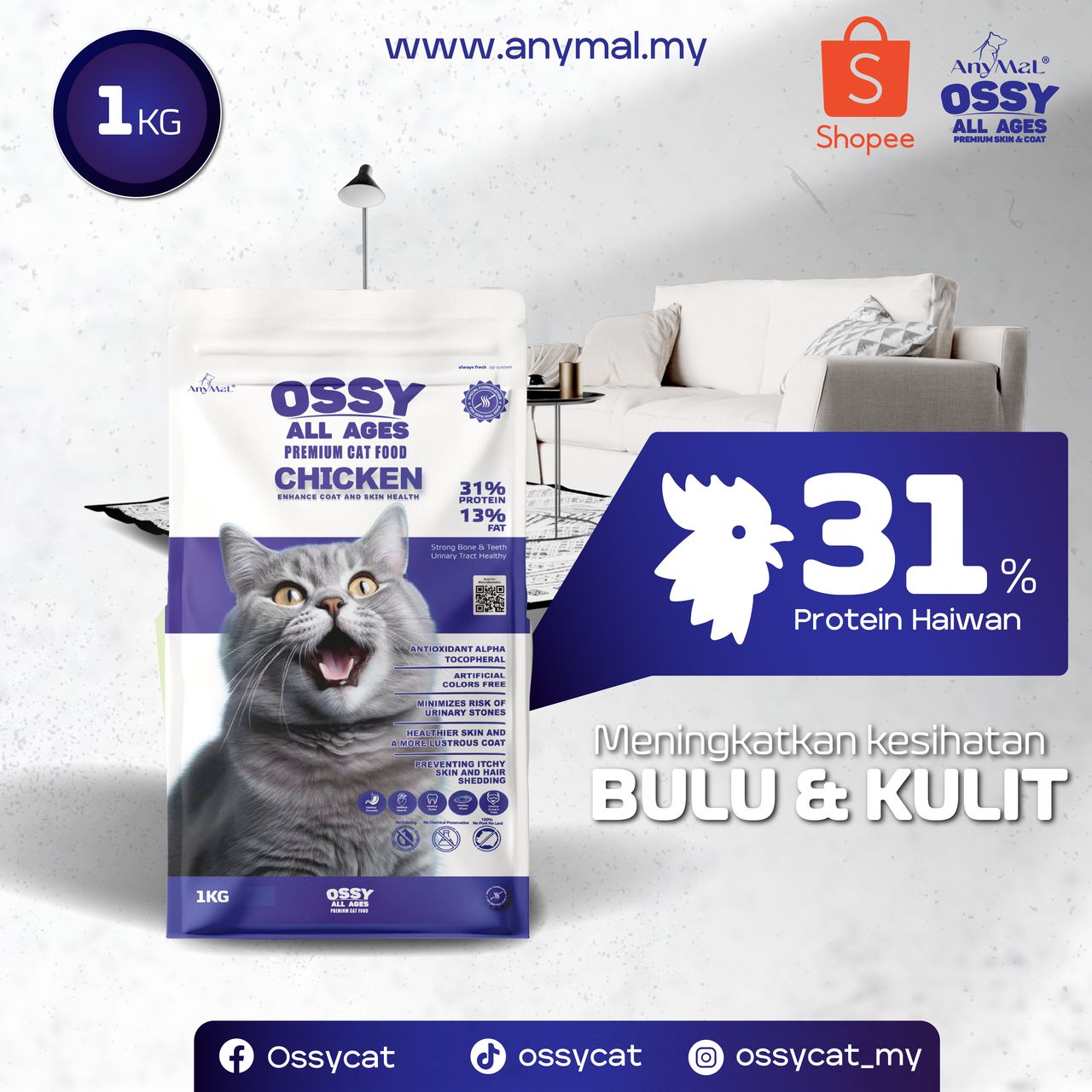 produk ossy (3)